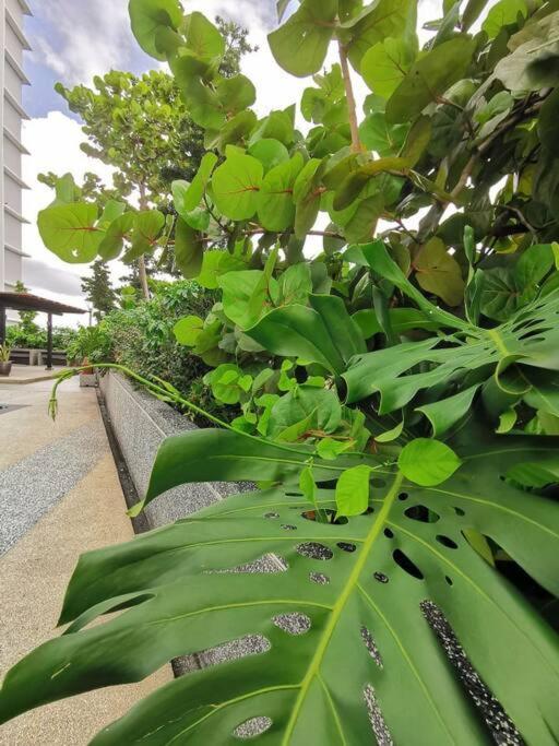 A2705 Platino Paradigmmall Netflix Poolview Bystay Apartment Johor Bahru
